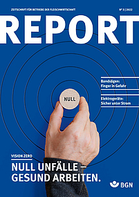 Report N° 3 | 2022